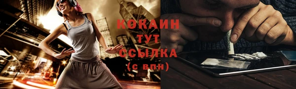 эйфоретик Аркадак