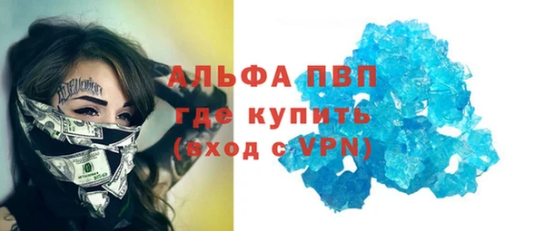 эйфоретик Аркадак