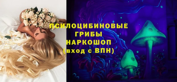эйфоретик Аркадак