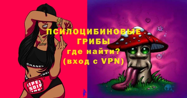 эйфоретик Аркадак