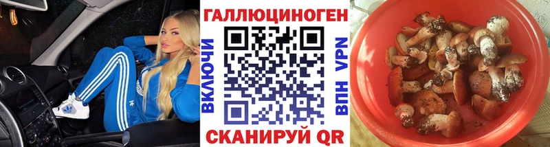 Галлюциногенные грибы MAGIC MUSHROOMS  что такое наркотик  Суровикино 