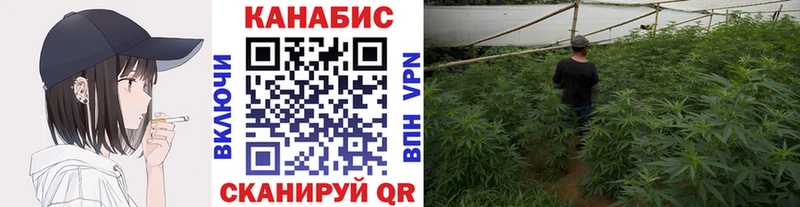 купить наркотик  Суровикино  Марихуана LSD WEED 